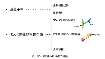 Figure 1 Types of surgical treatment for lymphedema