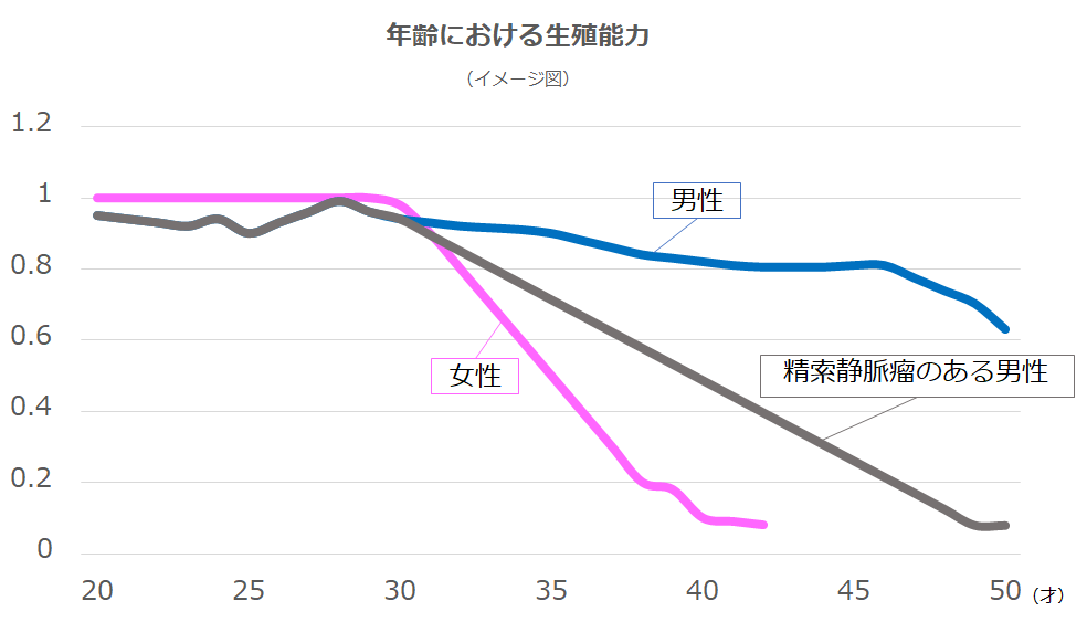 年齢における生殖能力