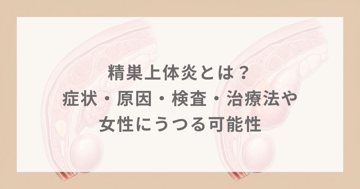 精巣上体炎とは？症状・原因・検査・治療法や女性にうつる可能性